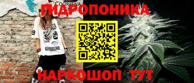 гидропоника Кинель