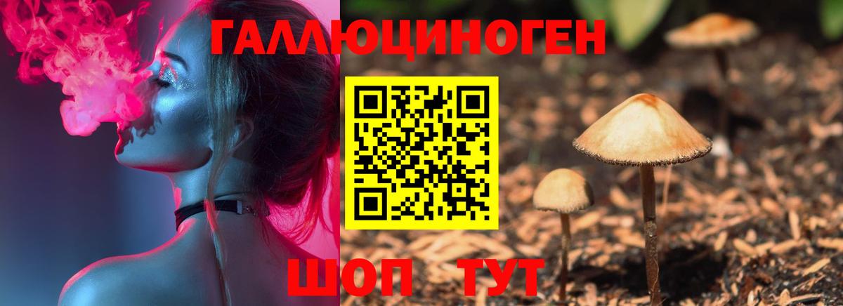 Котовск  Псилоцибиновые грибы Psilocybine cubensis  Вход с VPN 